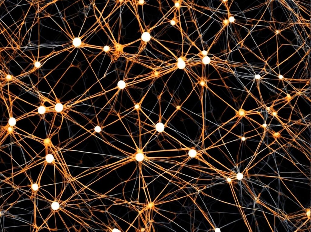 network-cover
