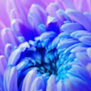 Profile photo of proxima